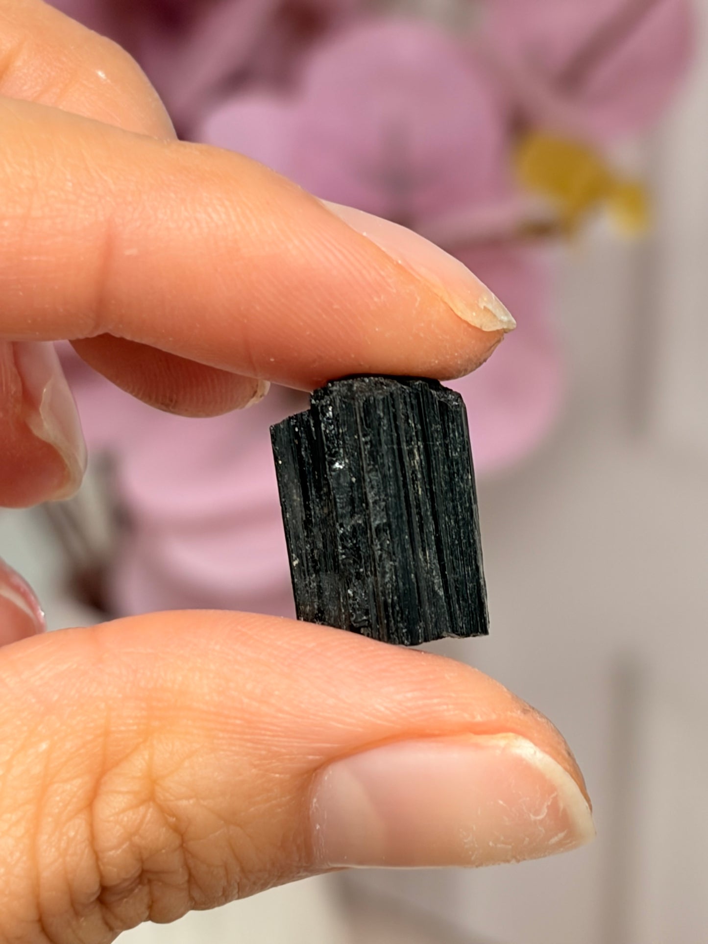 Turmalina Negra   • Minerales en Bruto